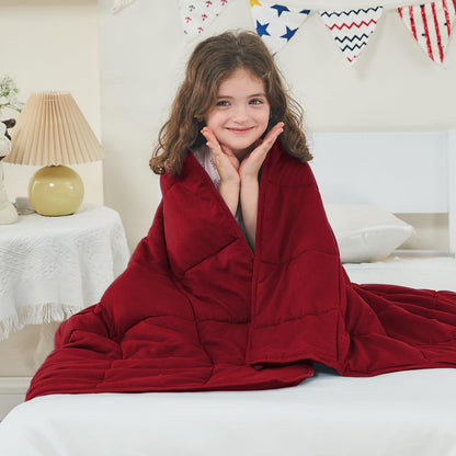 yescool Weighted Blanket for Adults 20lbs Queen Size, 60" x 80", Grey