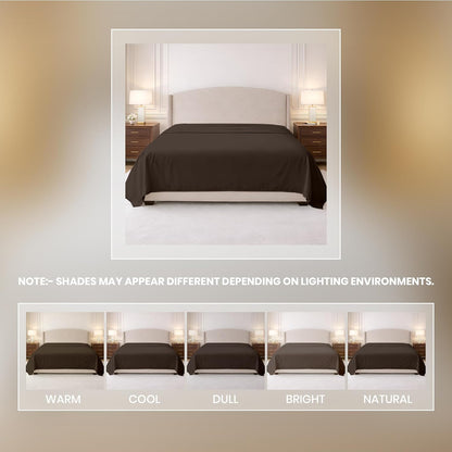 Kotton Culture 100% Egyptian Cotton 1 Pc Flat Sheet - 600 Thread Count, Soft and Crisp, Breathable, Top Sheet Only, Ultra Premium Sateen Weave Queen Bed Sheets, Cotton Flat Sheet (Chocolate)