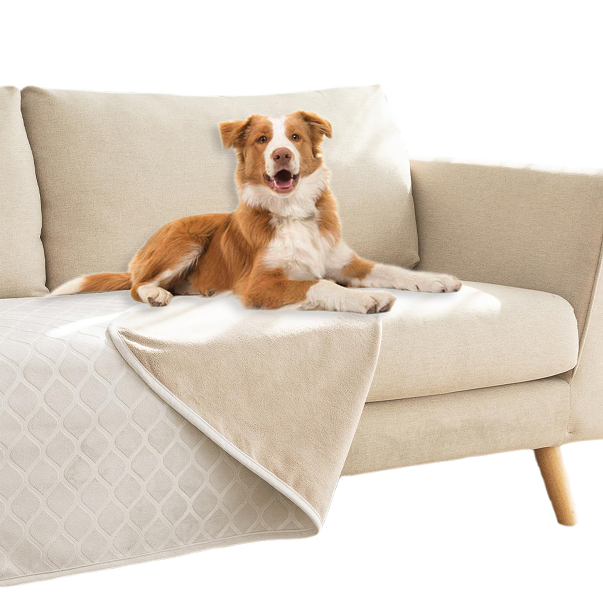 Waterproof Dog Blanket, Soft Reversible Throw for Couch & Bed Protection