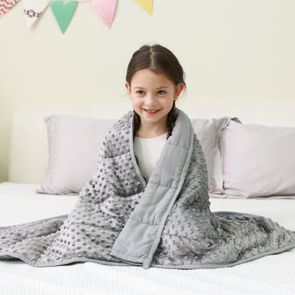 Mr. Sandman Cooling Weighted Blanket for Adults, Queen Size 15 lbs, 60″x80″