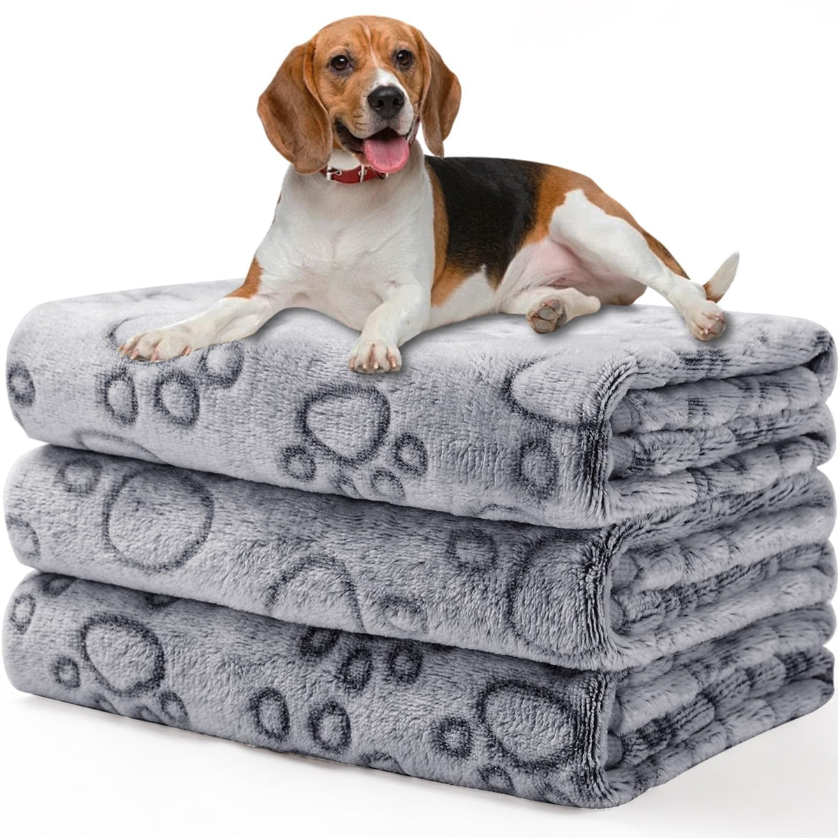 Luciphia Dog Blanket 3 Pack, Soft Cozy Fleece Throw for Puppy Cat,23"x16"