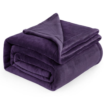 Bedsure GentleSoft Fleece Bed Blankets Queen Size Grey - Soft Cozy Warm Fall Throw Blanket Halloween Decorations Lightweight Anti-Static, Room Home Decor Gifts for Husband and Men, 90x90 inches