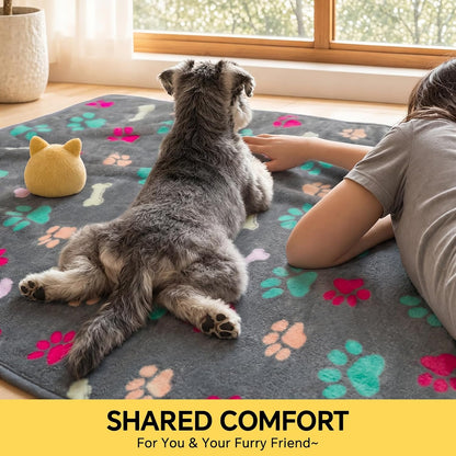 Luciphia 1 Pack 3 Blankets Fluffy Premium Fleece Pet Blanket Flannel Paw Printed Throw for Dog Cat(Small 23x16'', Grey/Brown/Blue)
