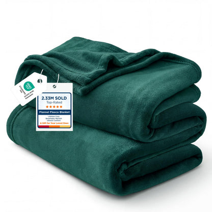 Bedsure GentleSoft Fleece Bed Blankets Queen Size Grey - Soft Cozy Warm Fall Throw Blanket Halloween Decorations Lightweight Anti-Static, Room Home Decor Gifts for Husband and Men, 90x90 inches